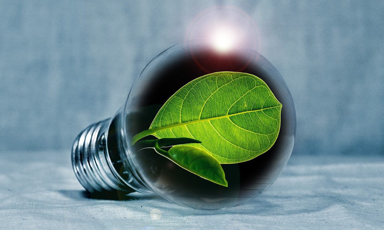 Maximisez l’efficacité énergétique de votre propriété avec le CECB et le CECBplus